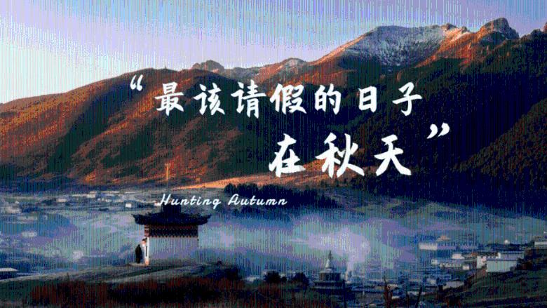 栅栏迷宫